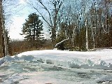 990306-1.jpg