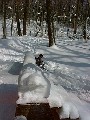 990306-3.jpg