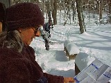 990306-4.jpg