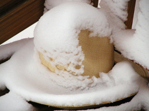 Hat