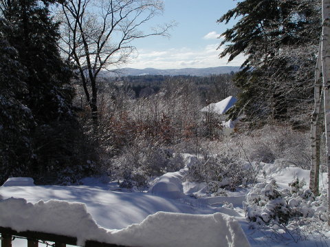 P1050007