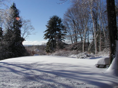 P1050019