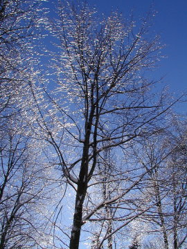 P1050024