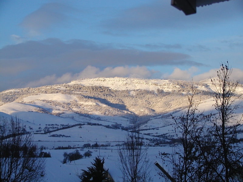 P2220001.JPG