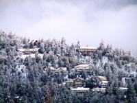 P2220008.JPG