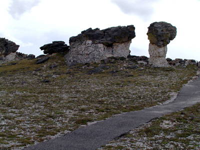 234-rockymtn