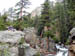 215-rockymtn