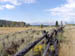 101-teton