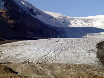 201-jasper
