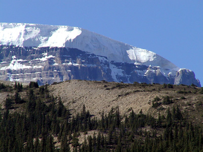 300-jasper