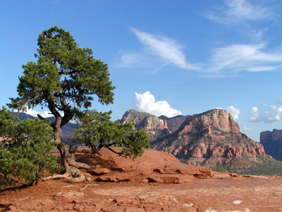 P8300054