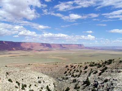 P8310108