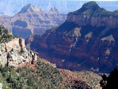 P9010015