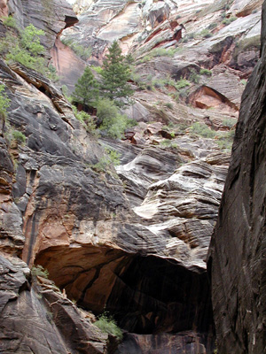 P9030055