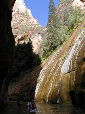 P9030072