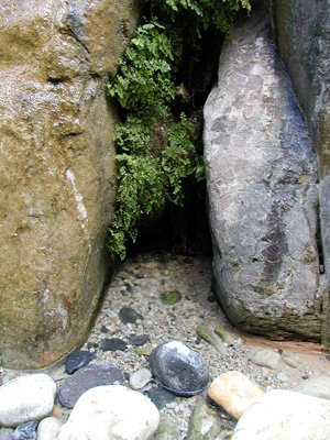 P9030080