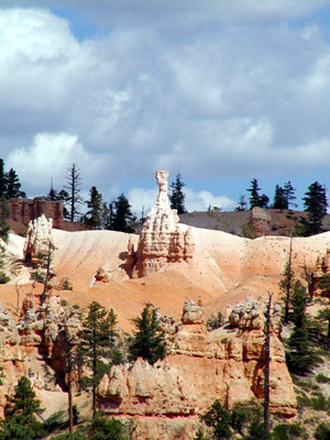 P9050022