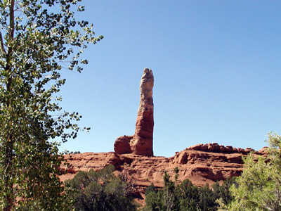 P9060006