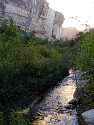 P9060036