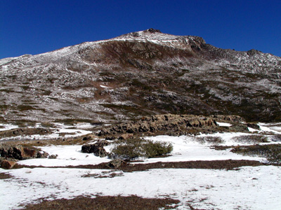 P9090178