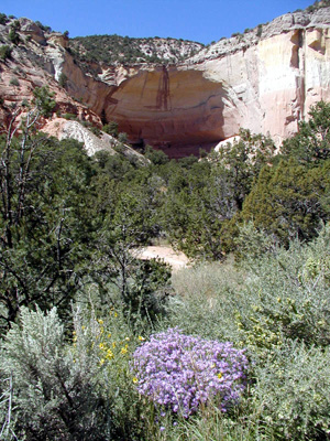P9120067