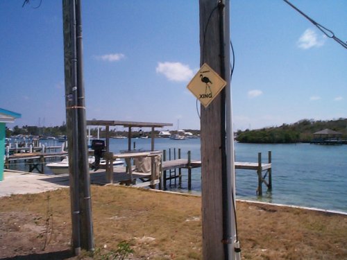 Elbow_Cay_022