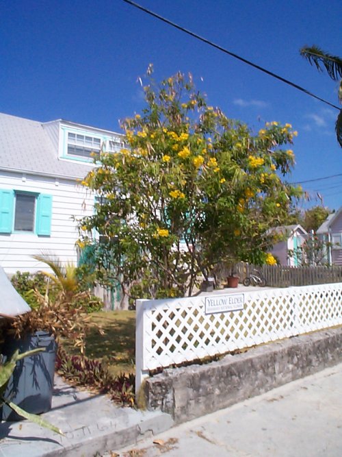 Elbow_Cay_033