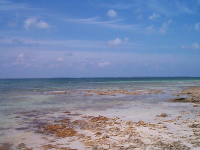 DCP00718_001