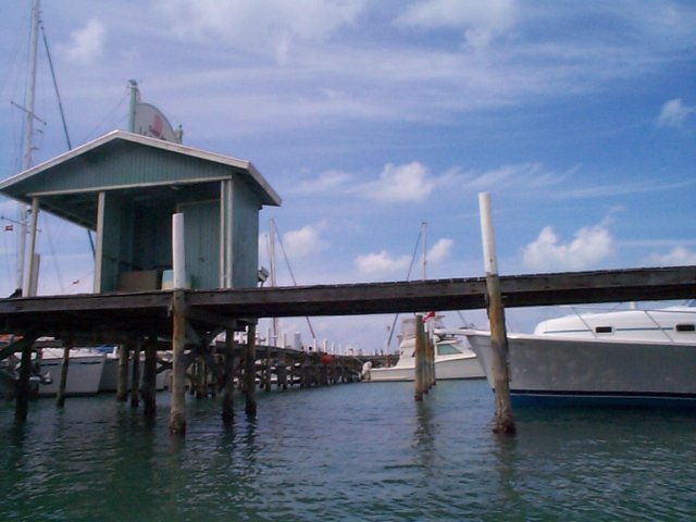 DCP00715_001