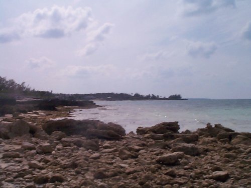 DCP00719_001