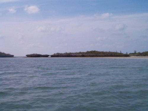 DCP00732_001