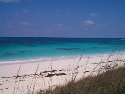 Elbow_Cay_030