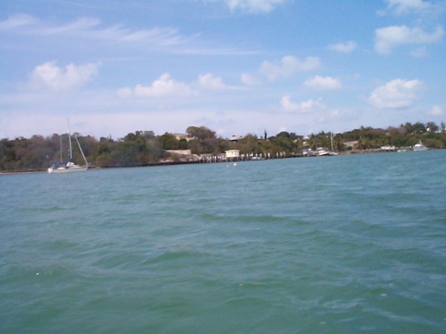 DCP00716_001