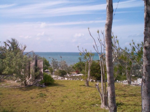 DCP00726_001