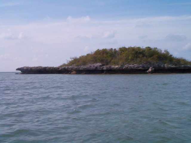 DCP00733_001