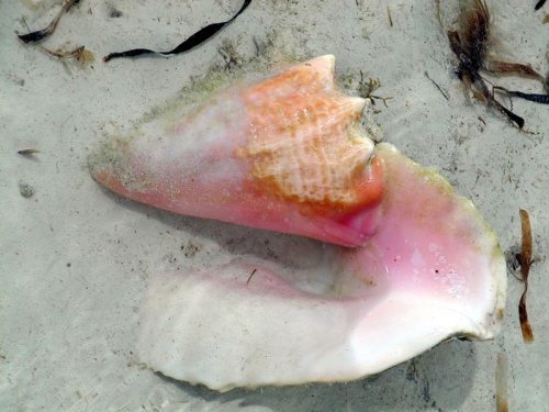 P4170032