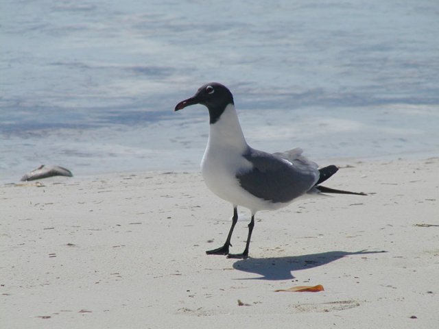 P4240054