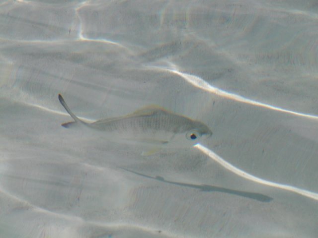 P4260002