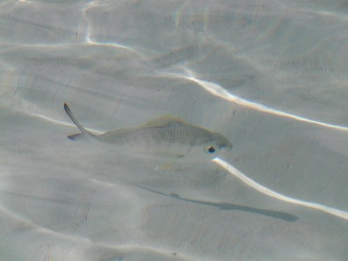 P4260002