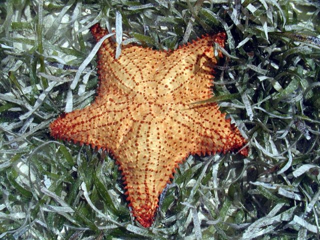 P4170036