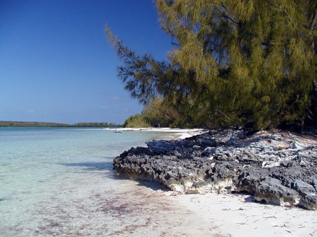 P4200028