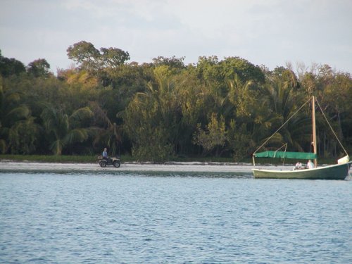 P4200035