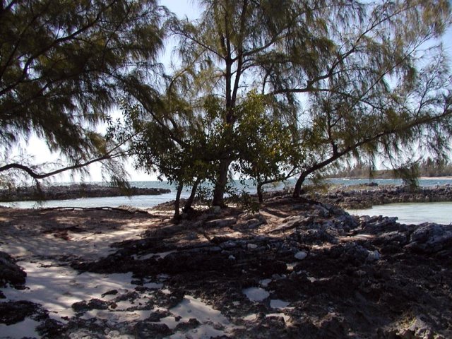 P4200025