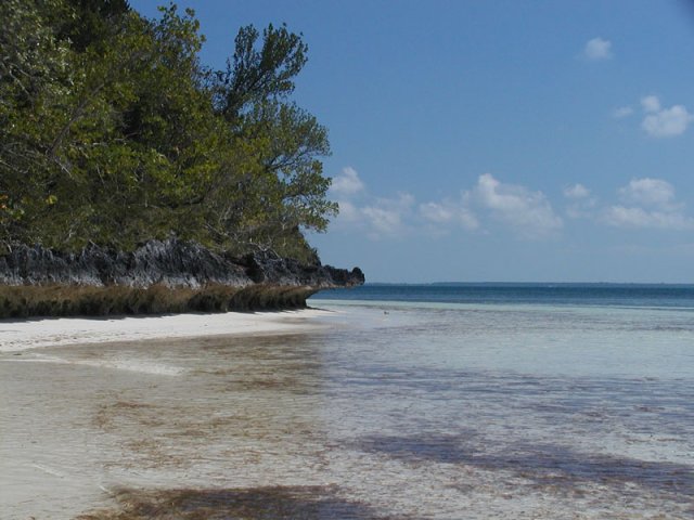 P4240043