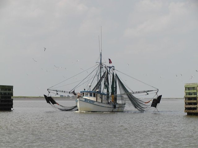 P8290033