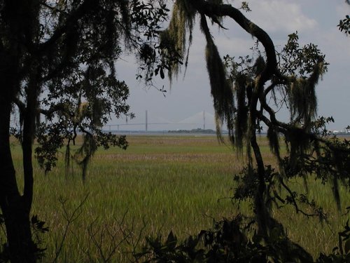 P8290017