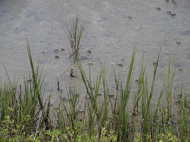 P8290012