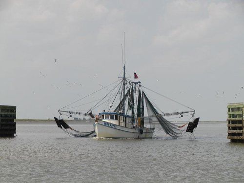P8290033