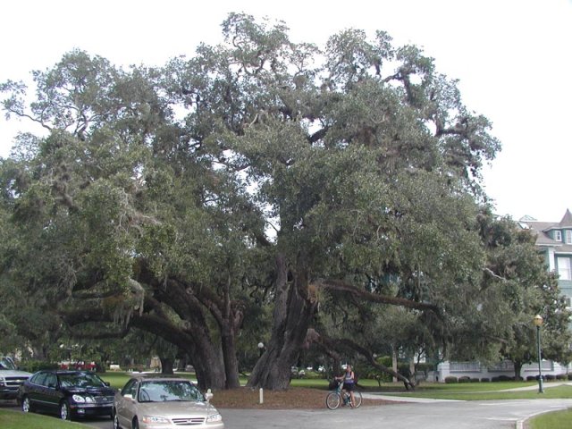 P8290032