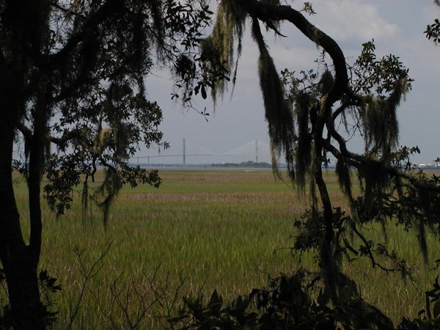 P8290017